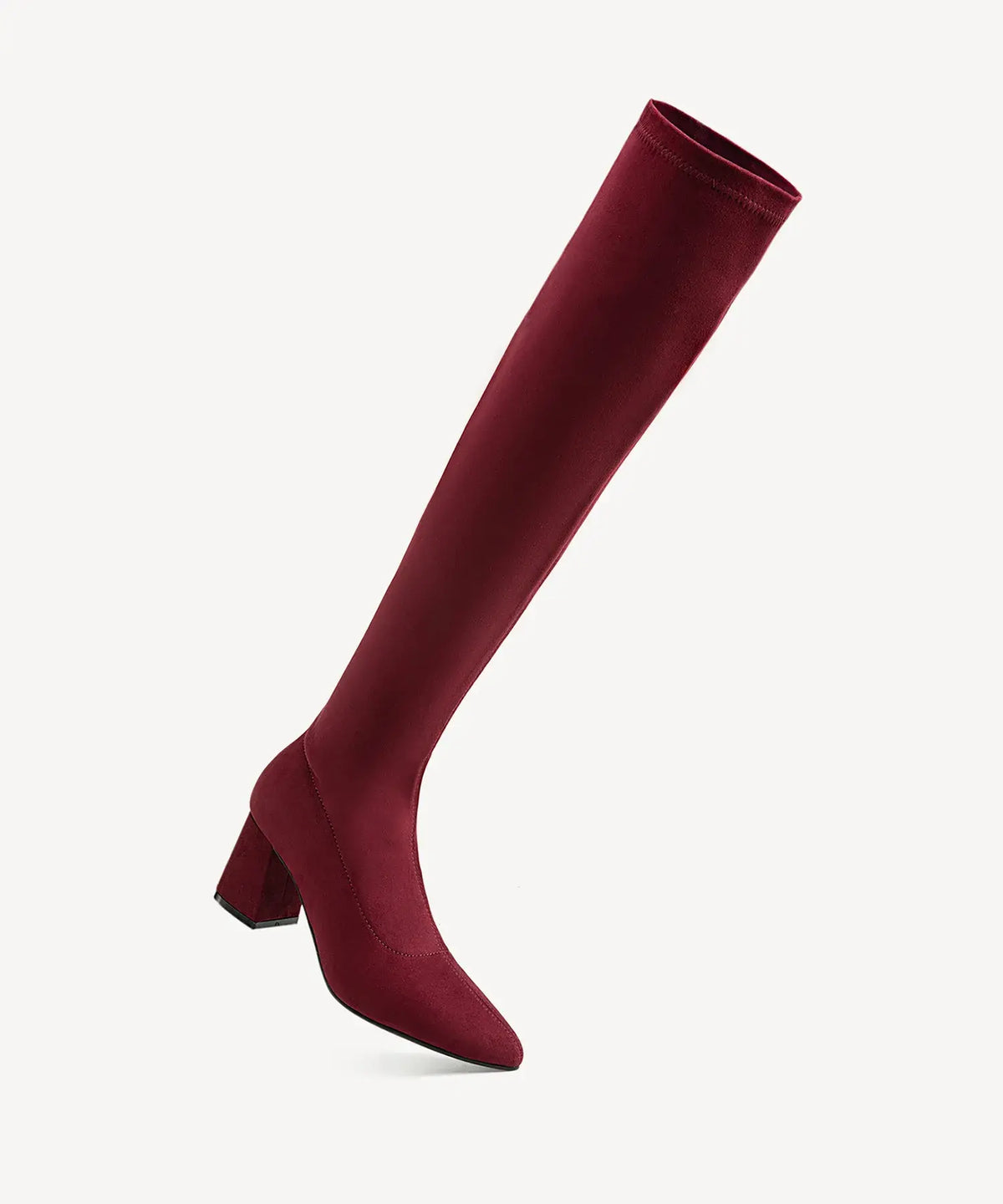 Minimalist Zipper Pointed Toe High Boot