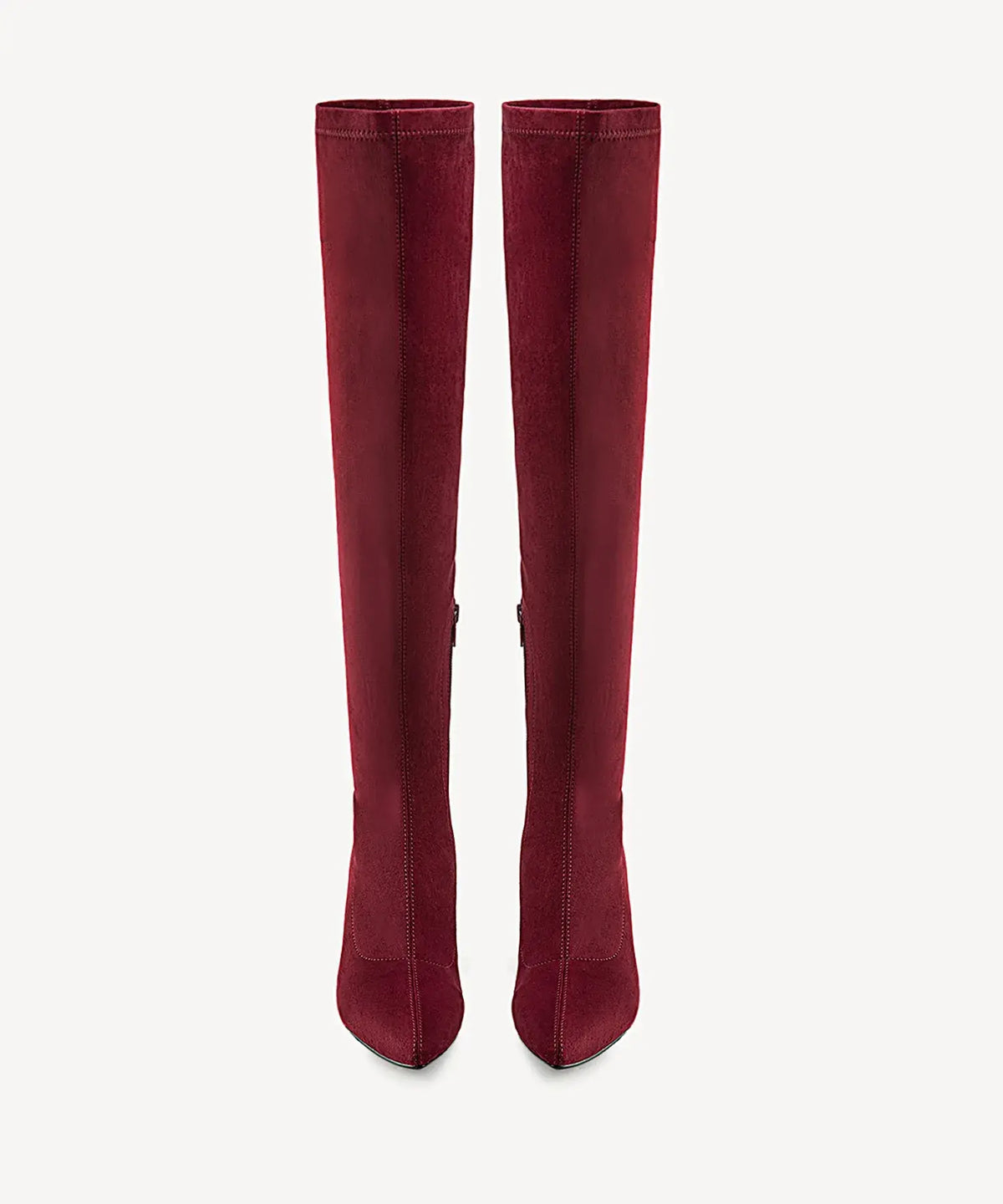 Minimalist Zipper Pointed Toe High Boot