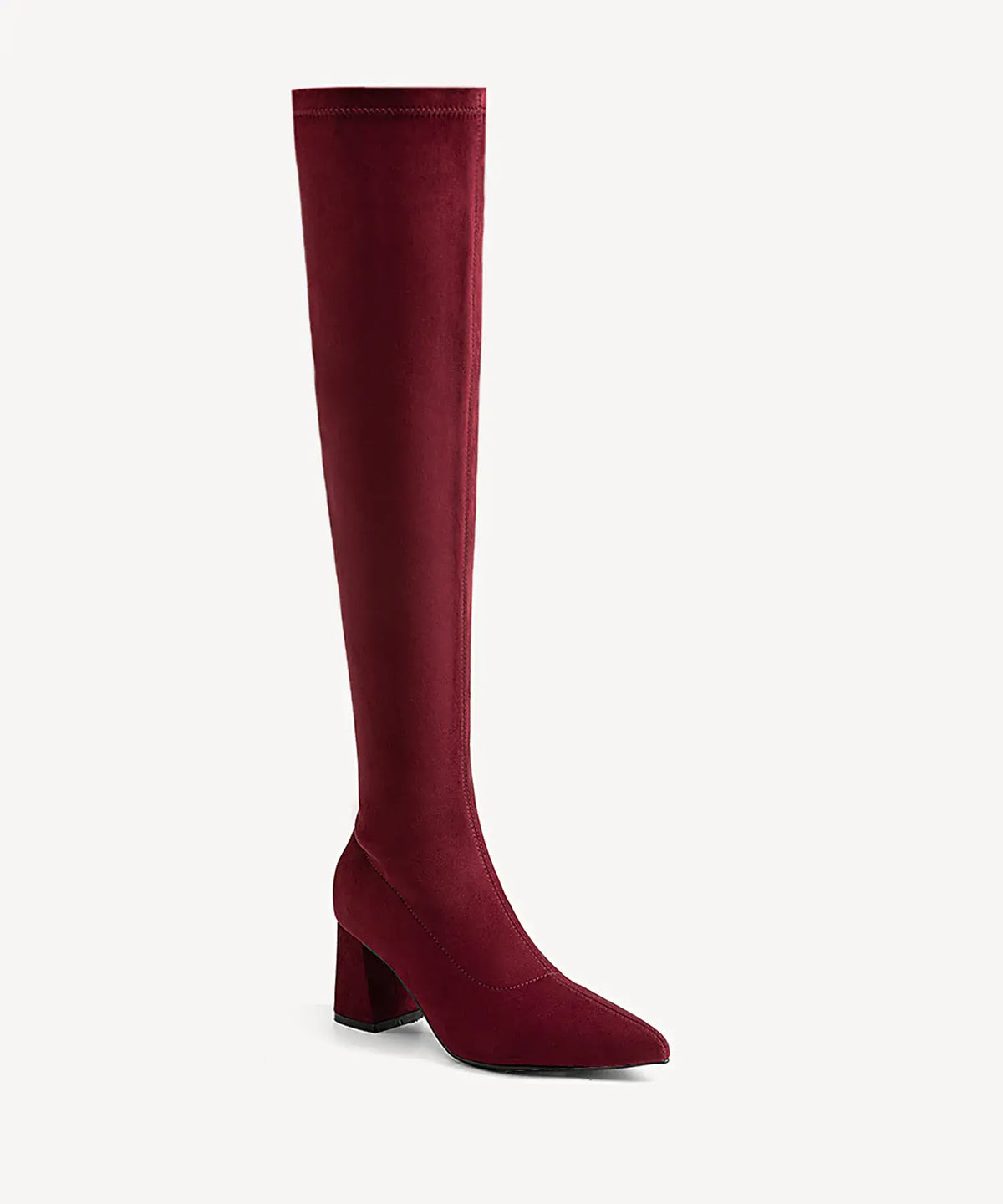 Minimalist Zipper Pointed Toe High Boot