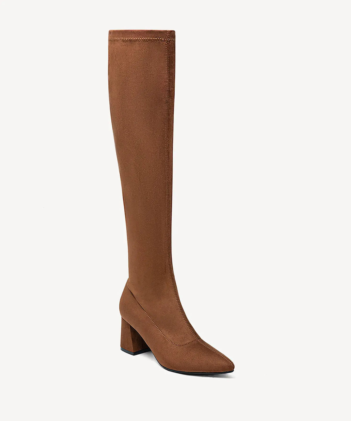 Minimalist Zipper Pointed Toe High Boot