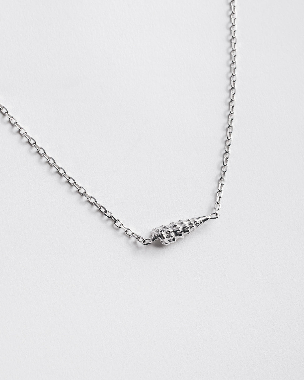 The Shell Necklace