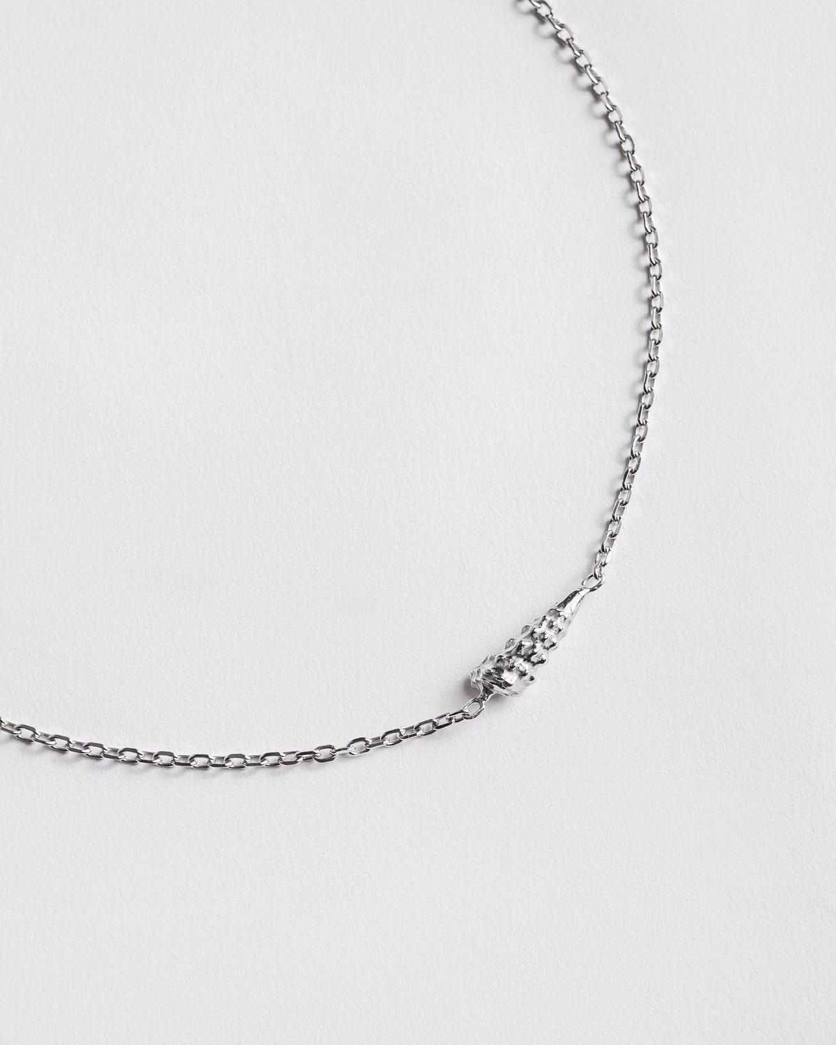 The Shell Necklace