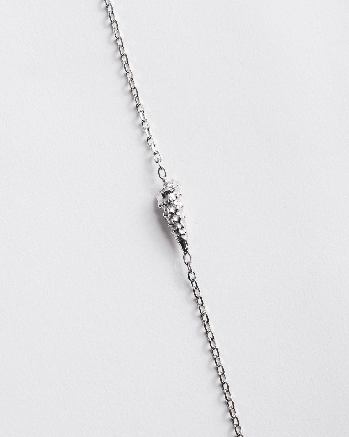 The Shell Necklace